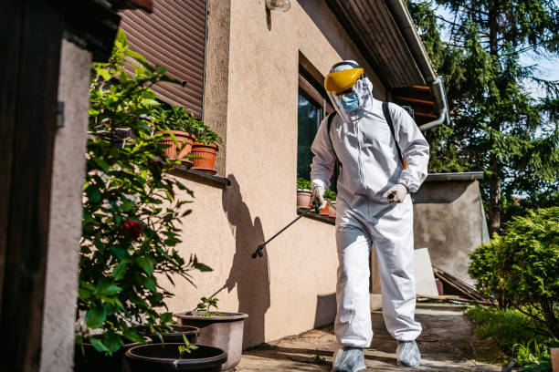 Pest Prevention Services in Aledo, IL