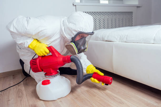 Flea Control Services in Aledo, IL