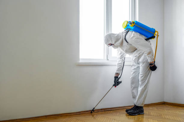 Best Affordable Pest Control Services  in Aledo, IL