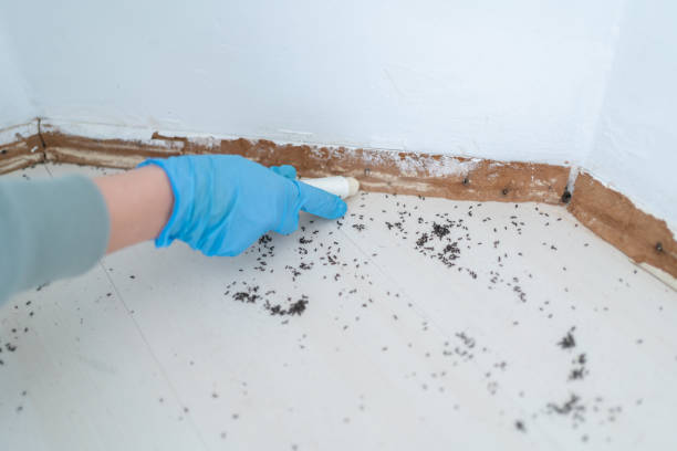 Best Pest Prevention Services  in Aledo, IL